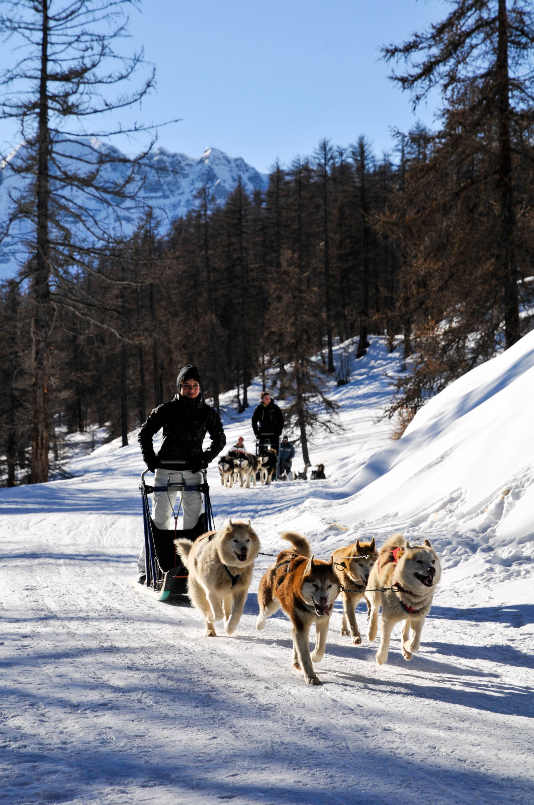 Mush And Co - Chiens de traineaux à Vars - Hiver u0026 Été