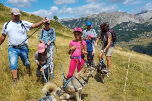 cabane header cani-rando Vars south Alps Mush and co été freeride summer_