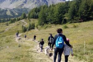 cani rando été famille